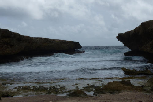 201807 Curacao 0596