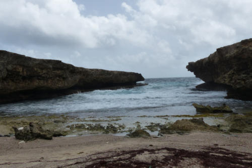 201807 Curacao 0597