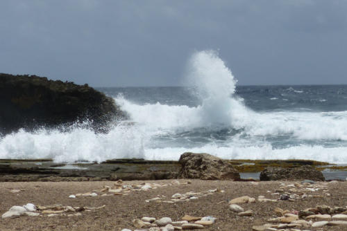 201807 Curacao 0647