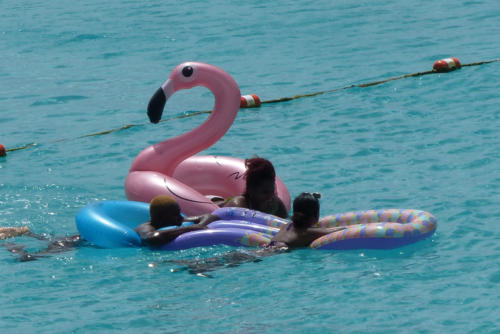 201807 Curacao 0828