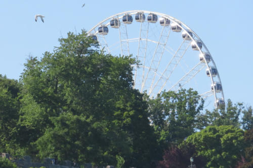 201807 NiagaraFalls 0014