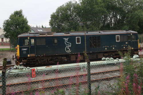 201807 Jacobite 0063