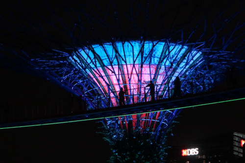 201905 SINLights 0044