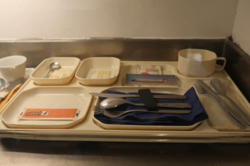 20190628 DeHavilland 0198