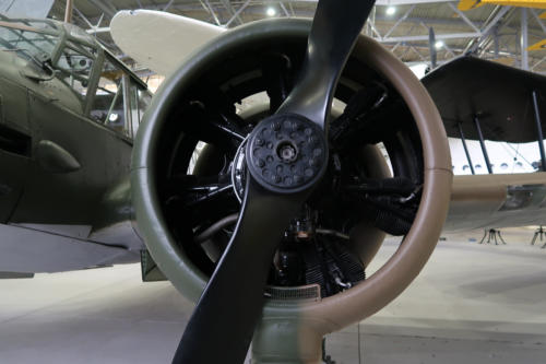 20190628 IWMDuxford 0080