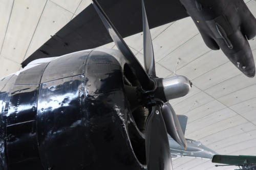 20190628 IWMDuxford 0177