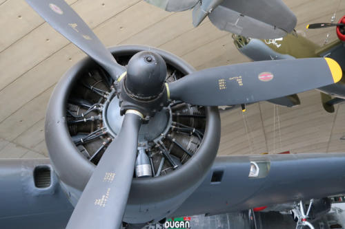 20190628 IWMDuxford 0183