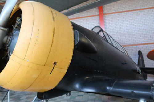 20190722 FlugPeterJunior 0011