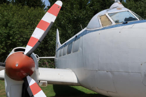 20190722 FlugPeterJunior 0113