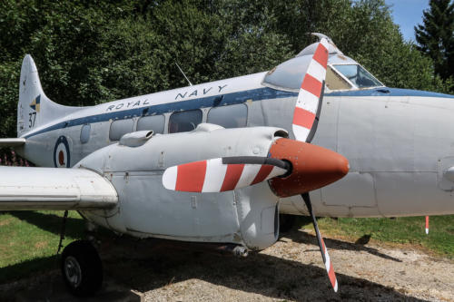 20190722 FlugPeterJunior 0114