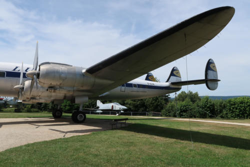 20190722 FlugPeterJunior 0160