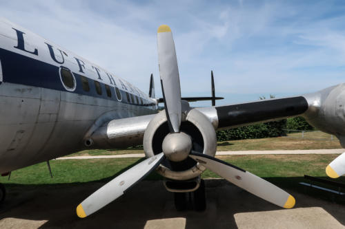 20190722 FlugPeterJunior 0165