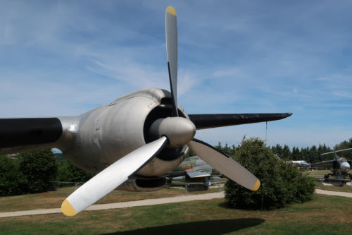 20190722 FlugPeterJunior 0167