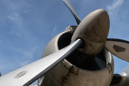 20190722 FlugPeterJunior 0168