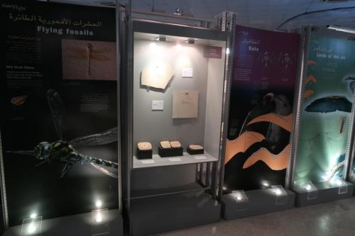 20191102 AlMahatta 0136