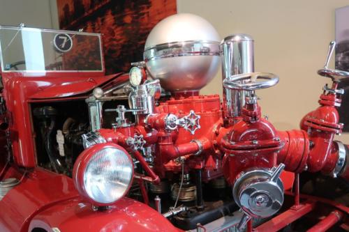20201023 LouwmanMus 0242