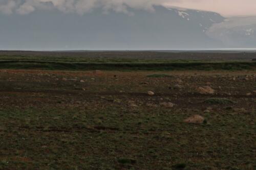 20210807 IslandF35Kjolur 0034