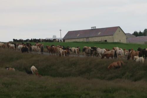 20210807 IslandF35Kjolur 0131