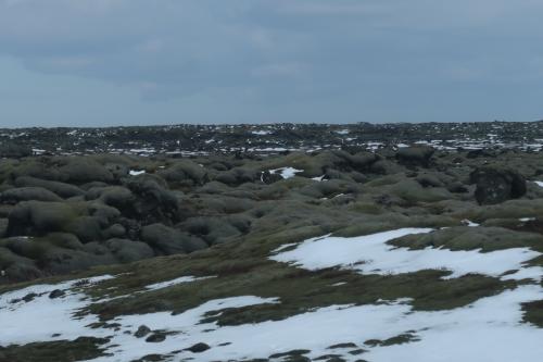 20230430 IcelandRingRoad Day02 0074