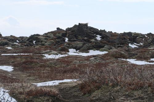 20230430 IcelandRingRoad Day02 0075