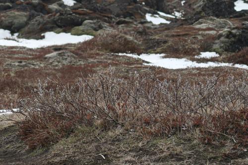 20230430 IcelandRingRoad Day02 0076