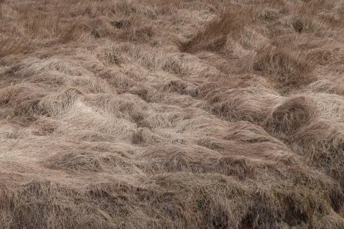 20230501 IcelandRingRoad Day03 0024