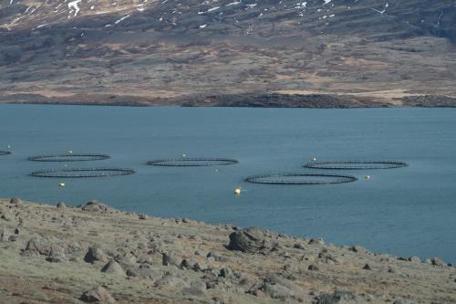 20230501 IcelandRingRoad Day03 0038