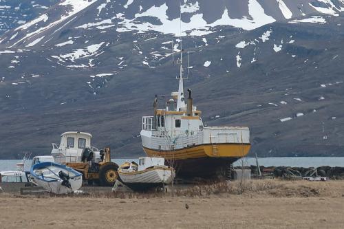 20230501 IcelandRingRoad Day03 0068