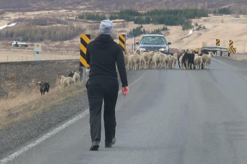 20230501 IcelandRingRoad Day03 0089