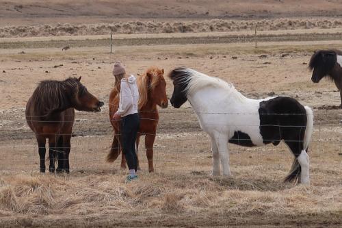 20230501 IcelandRingRoad Day03 0092