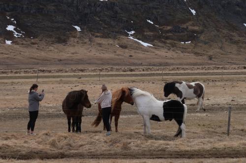 20230501 IcelandRingRoad Day03 0093