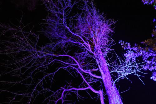 20231207 WeihnachtsWunderweltBenrath 0024