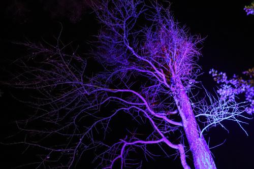 20231207 WeihnachtsWunderweltBenrath 0025