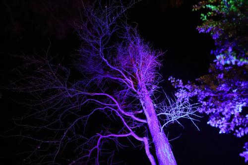 20231207 WeihnachtsWunderweltBenrath 0026
