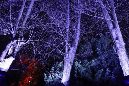 20231207 WeihnachtsWunderweltBenrath 0033