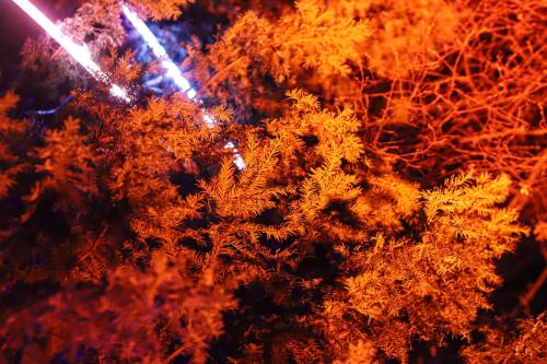 20231207 WeihnachtsWunderweltBenrath 0034