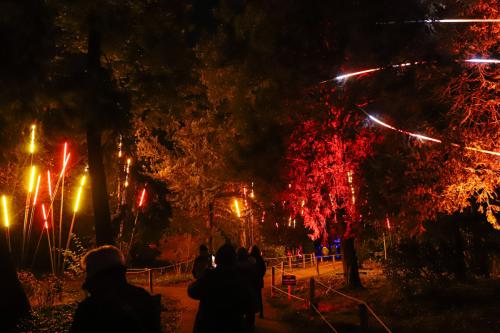 20231207 WeihnachtsWunderweltBenrath 0039