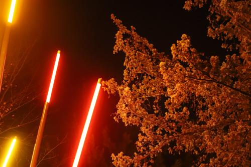 20231207 WeihnachtsWunderweltBenrath 0043