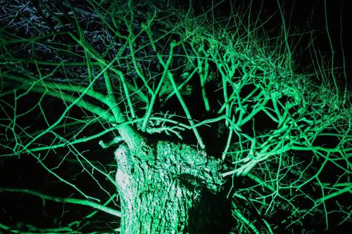 20231207 WeihnachtsWunderweltBenrath 0052