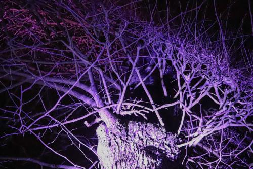20231207 WeihnachtsWunderweltBenrath 0054