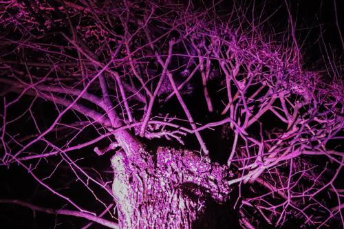 20231207 WeihnachtsWunderweltBenrath 0055