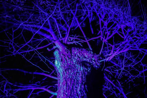 20231207 WeihnachtsWunderweltBenrath 0056