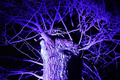 20231207 WeihnachtsWunderweltBenrath 0057