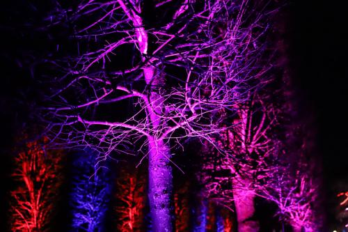 20231207 WeihnachtsWunderweltBenrath 0060