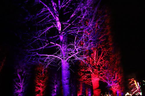 20231207 WeihnachtsWunderweltBenrath 0061