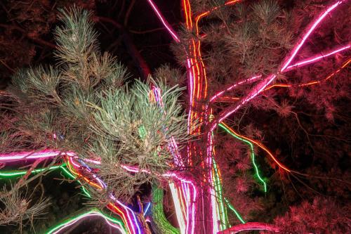 20231207 WeihnachtsWunderweltBenrath 0072