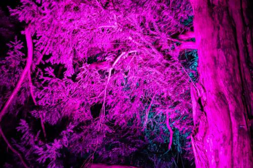 20231207 WeihnachtsWunderweltBenrath 0077