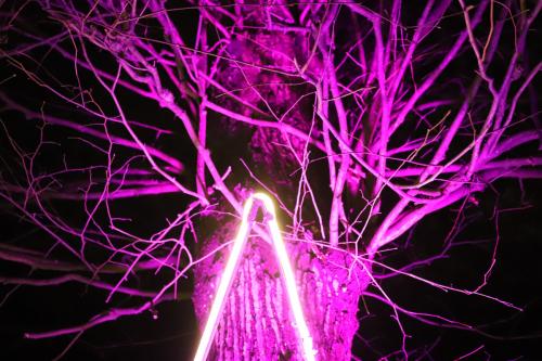 20231207 WeihnachtsWunderweltBenrath 0108