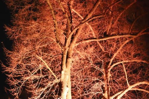 20231207 WeihnachtsWunderweltBenrath 0162