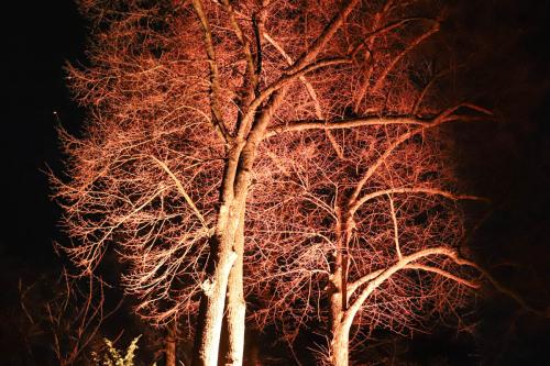 20231207 WeihnachtsWunderweltBenrath 0163